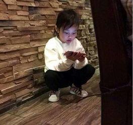 贾乃亮爆料包饺子视频大全,温馨家庭生活引网友热议  第1张