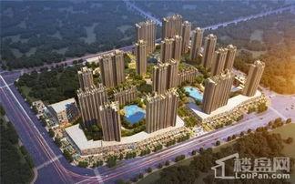 天琴湾最新消息爆料新闻,神秘事件引发热议，真相即将揭晓  第2张