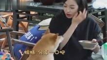 综艺八卦爆料最新视频播放,最新视频揭秘明星幕后故事,精彩瞬间不容错过! 第2张 综艺八卦爆料最新视频播放,最新视频揭秘明星幕后故事,精彩瞬间不容错过! 第2张