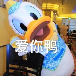 娱乐吃瓜鸭图片,揭秘娱乐圈那些不为人知的幕后故事  第2张 娱乐吃瓜鸭图片,揭秘娱乐圈那些不为人知的幕后故事  第2张