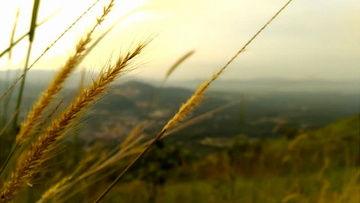 风景视频爆料大全最新网站,尽享视觉盛宴  第1张 风景视频爆料大全最新网站,尽享视觉盛宴  第1张