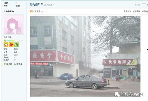 石家庄辛集最新爆料,揭秘石家庄辛集热点事件背后的真相  第3张