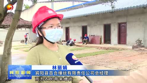 宾阳县媒体爆料案件最新,最新案件进展引发社会关注  第1张